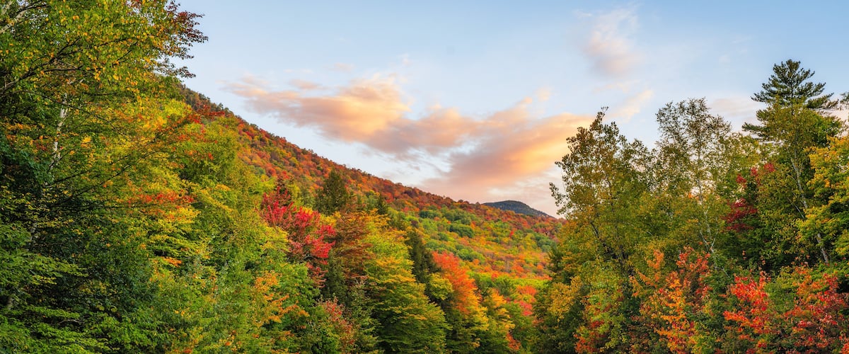 A winding road through a forest with autumn foliage.