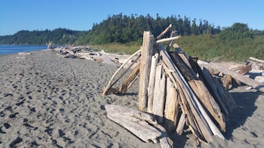 This park USA beautiful place to take family, or to just makes quick city escape.you are sucked in by the panoramic views of the Puget Sound, and there are tons of shells to be discovered and houses to be built with drift wood