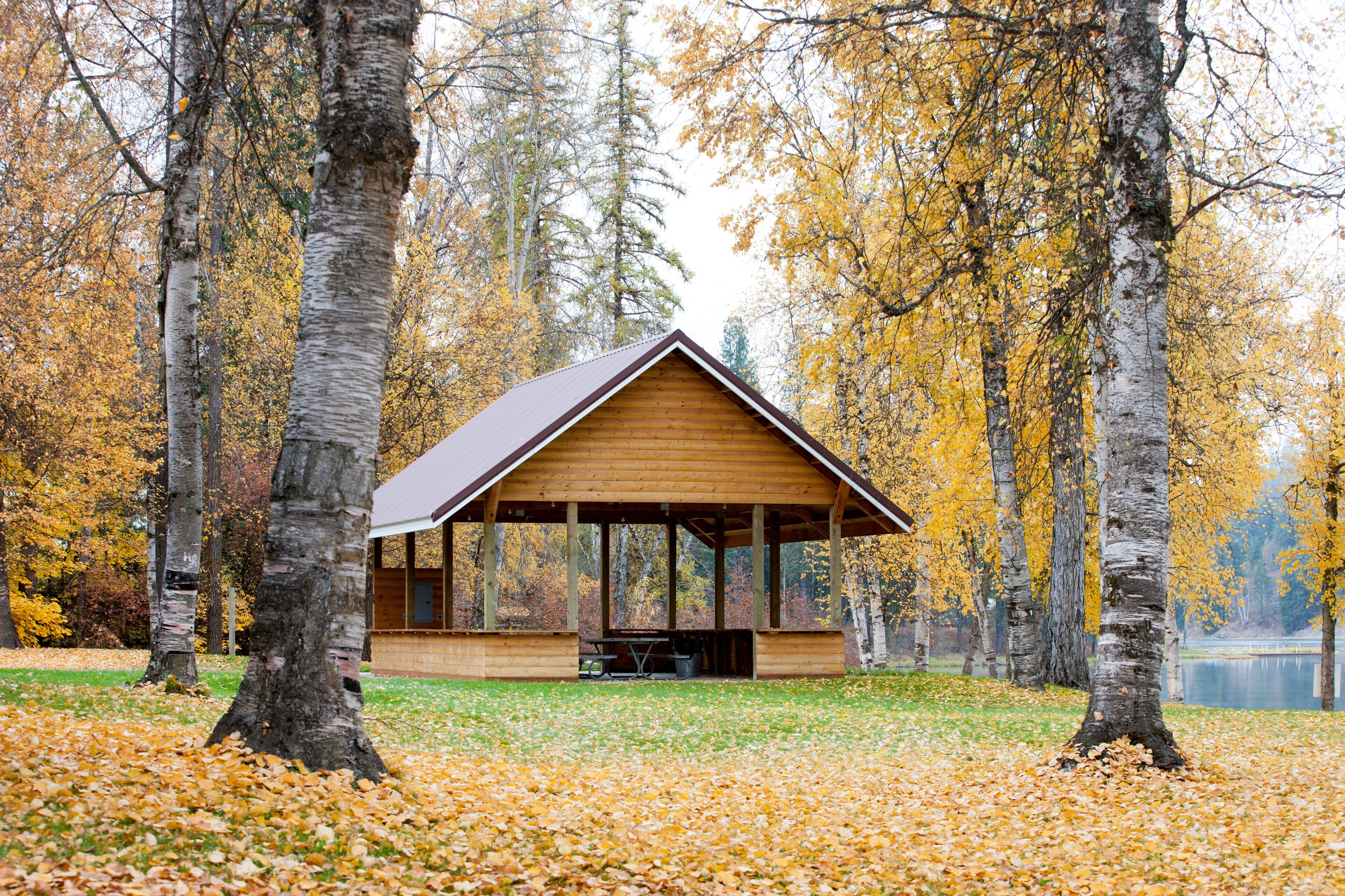 A wooden cabin in a forest with autumn leaves.