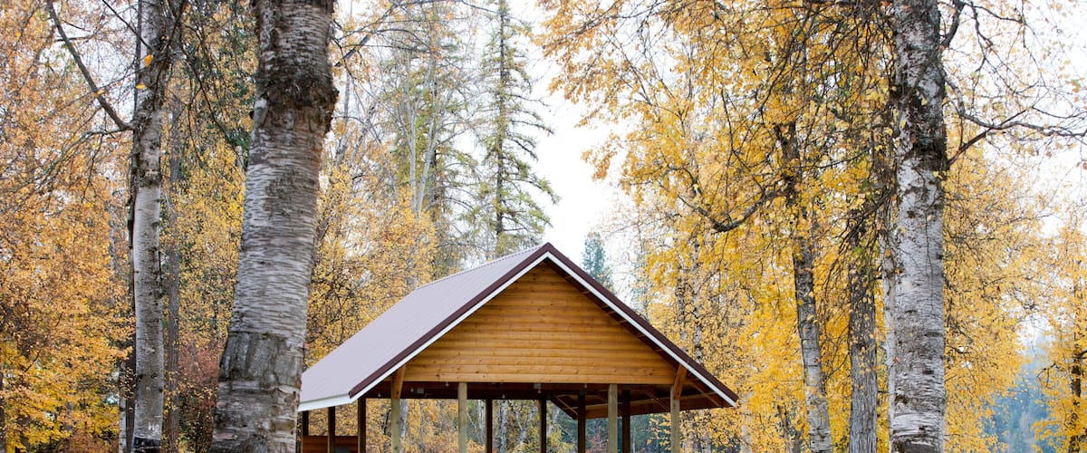 A wooden cabin in a forest with autumn leaves.