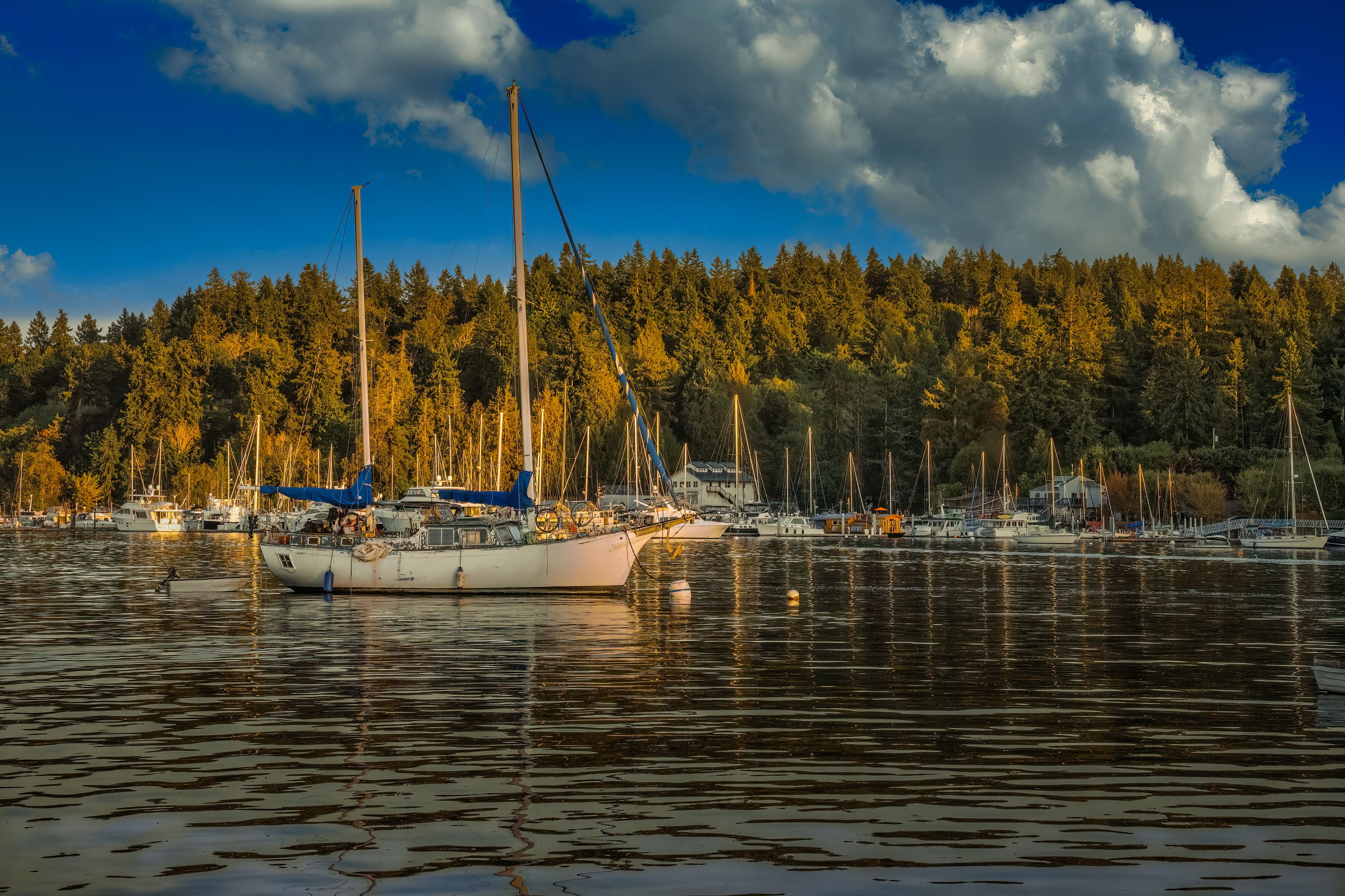 A harbor with multiple sailboats docked, a forested shoreline, and a clear sky with clouds.