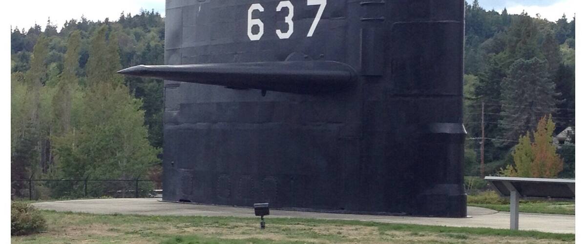 A large black submarine with the number 637 on its side, surrounded by a grassy area and trees.