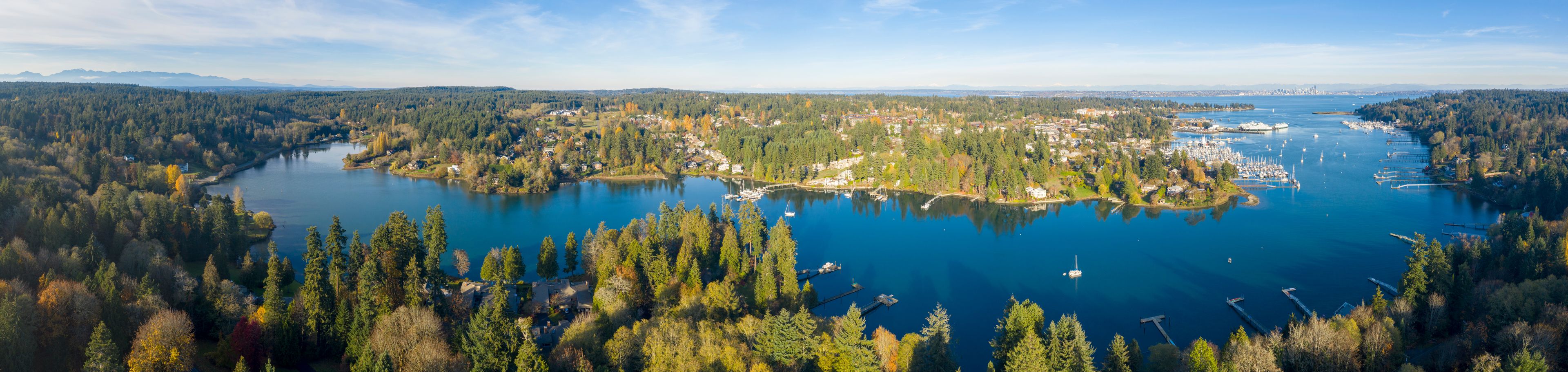 A lake surrounded by dense forests and a marina with boats.