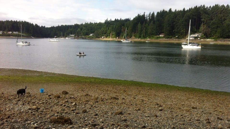 A calm lake with boats, a rocky shore, and a forest in the background.