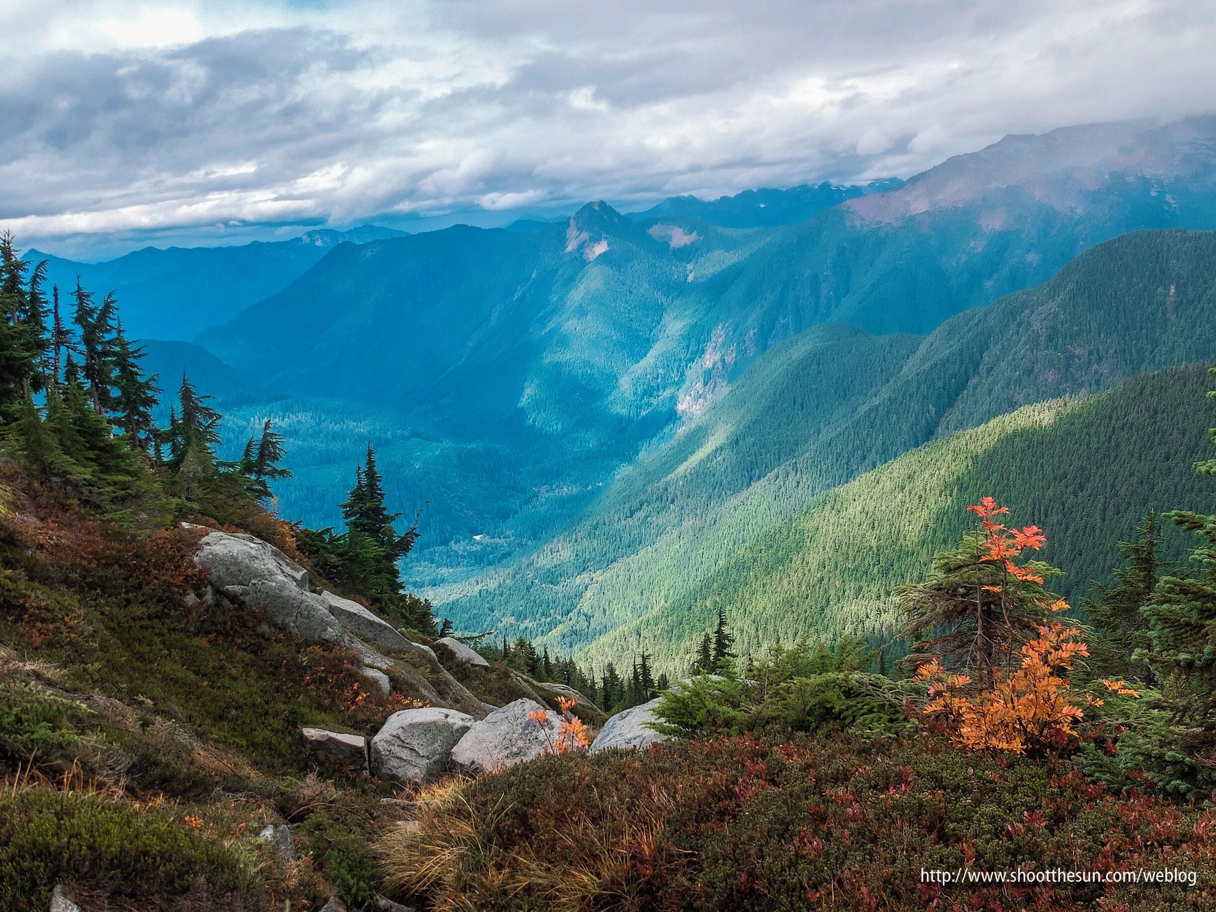 A mountainous landscape with dense forests and rocky outcrops.