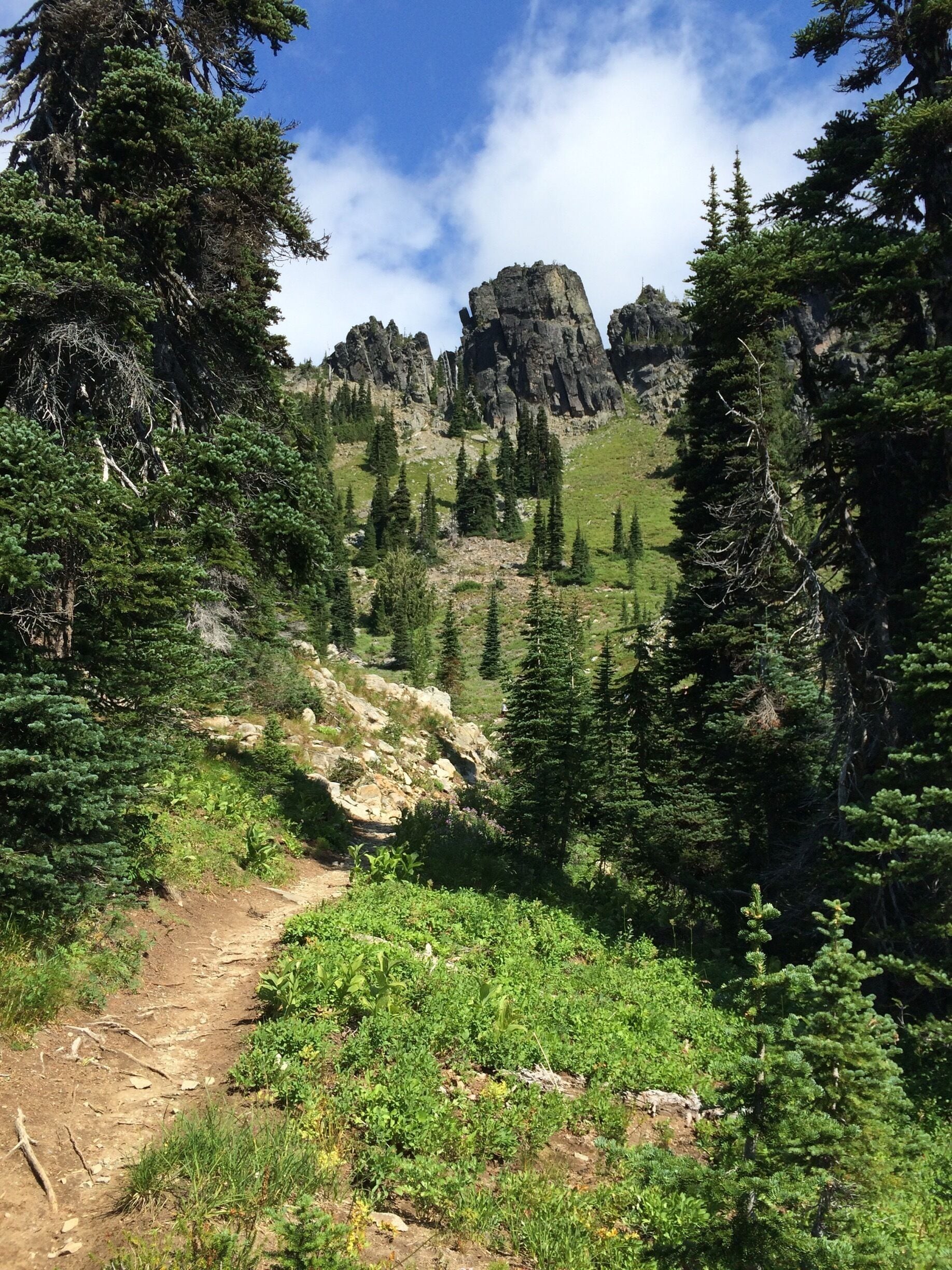 #hiking the PCT to Sourdough Gap. #TakeAHike