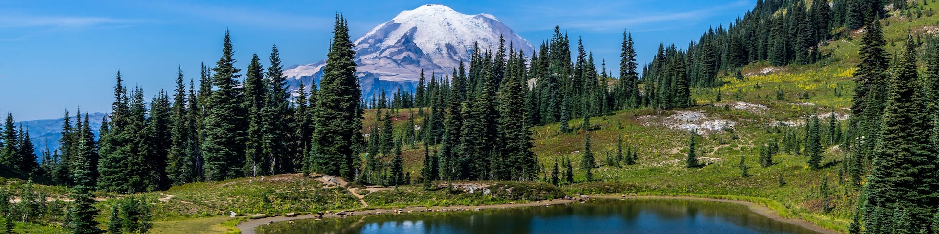 A mountain lake surrounded by evergreen trees and a clear blue sky.