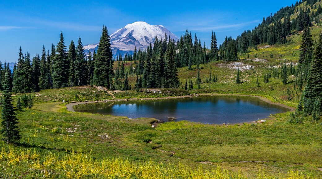 Naches Peak Loop Trail | Mount Rainier National Park | Washington
