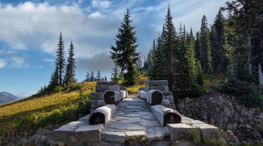 Stone bridge on Naches Peak Trail, Chinook Pass Washington