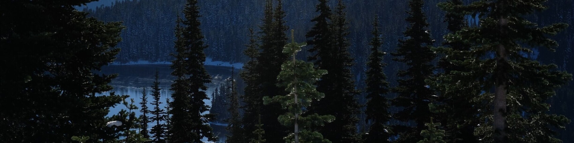 Looking South on to Dewey Lake. It is a popular hike in summer since it is so close to Seattle, but we had the trail completely to ourselves in November.