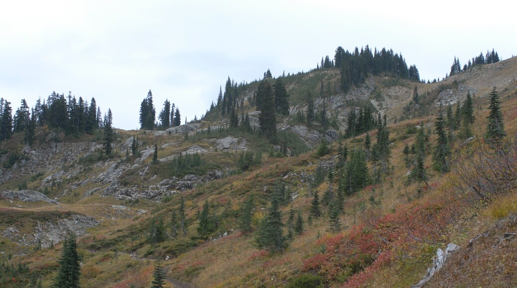 The hike follows the Pacific Crest Trail on the northern flank of Naches Peak and the Naches Peak Trail on the southern flank. The loop is best done clockwise for outstanding views of Mount Rainier.
#Hiking #mountains #washingtonState