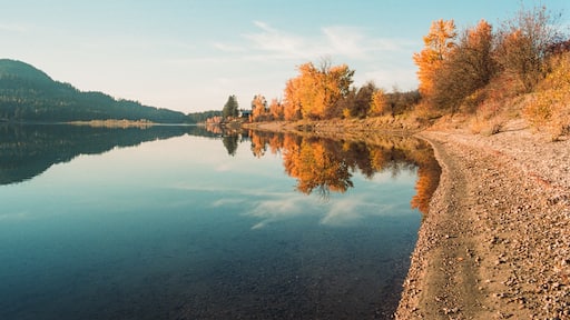 Bright fall colors along the Pend Oreille River