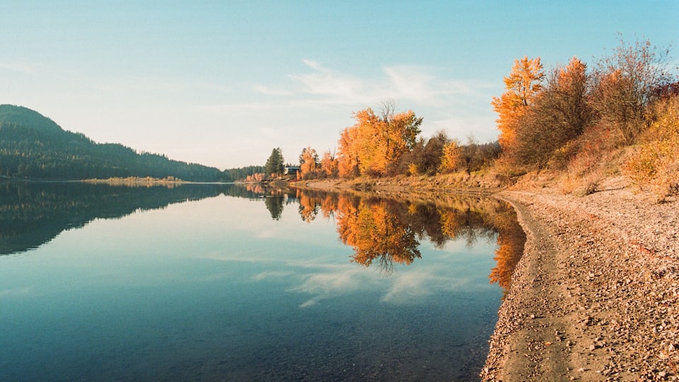 A calm river reflecting trees and a distant mountain.