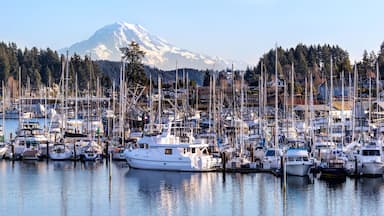 A marina with boats docked, a forested hillside, and a snow-capped mountain in the background.