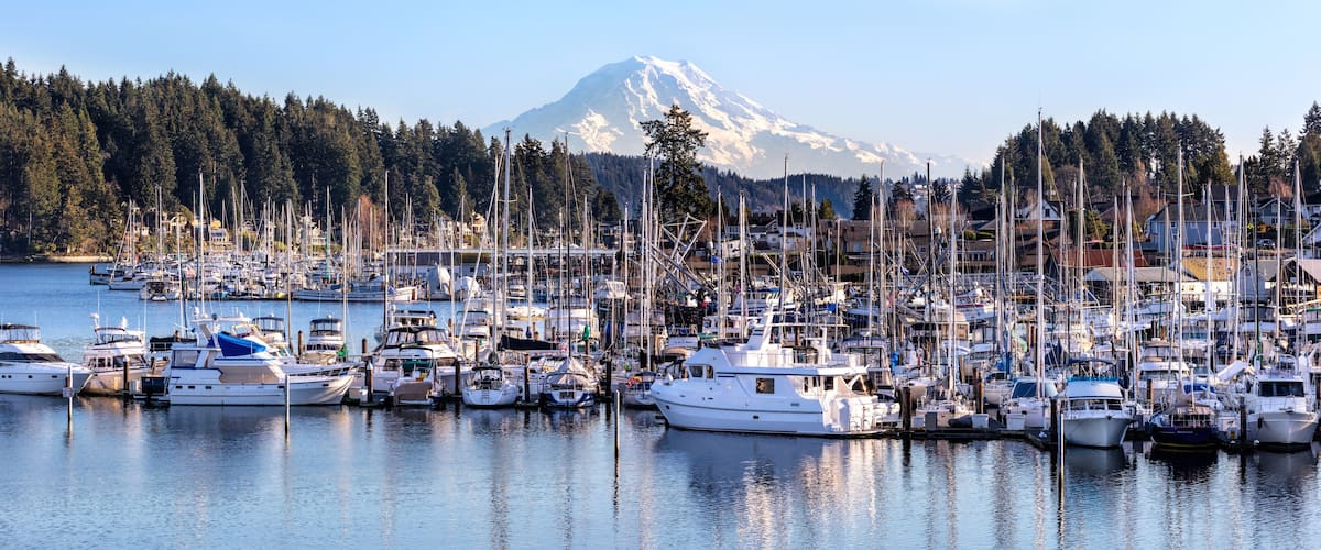 A marina with boats docked, a forested hillside, and a snow-capped mountain in the background.