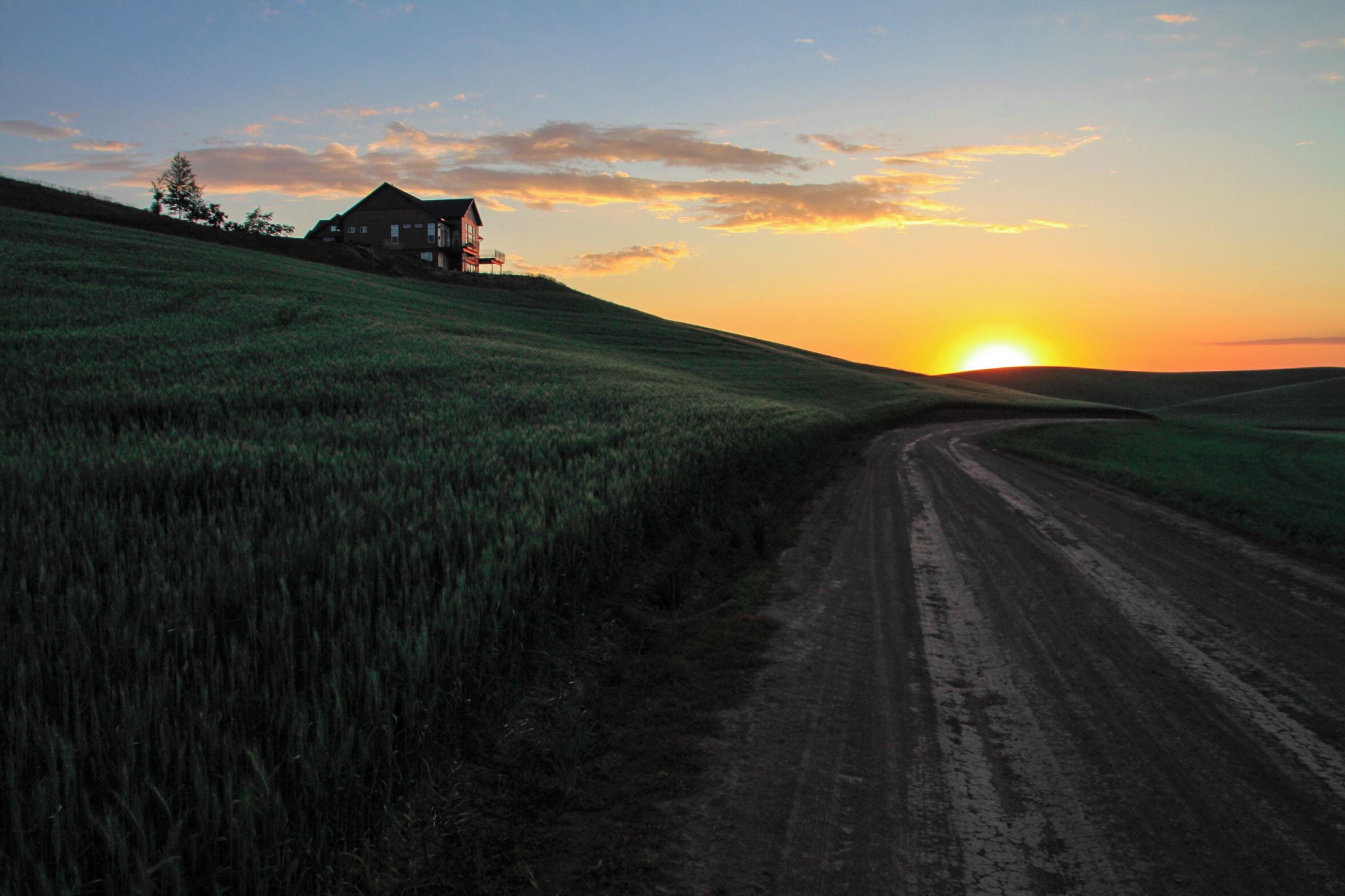 The best views are on the roads less traveled! #TakeAHike