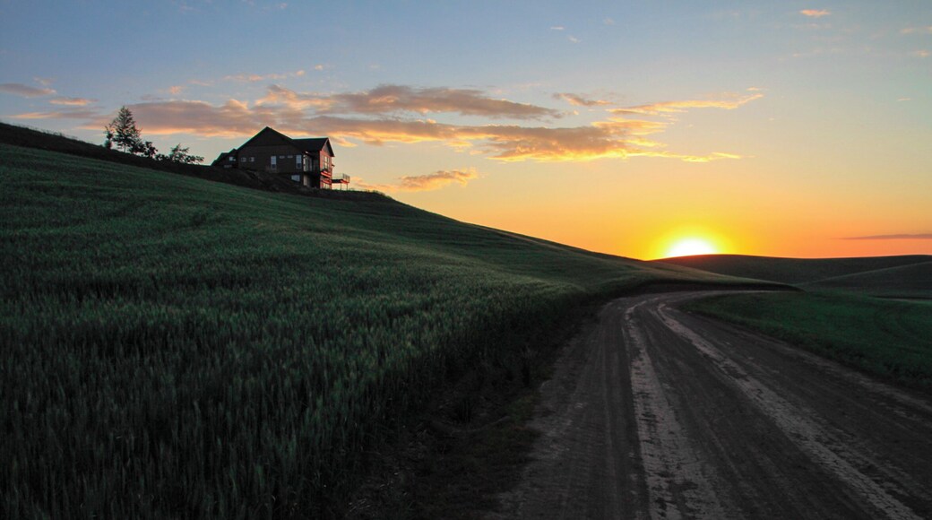 The best views are on the roads less traveled! #TakeAHike