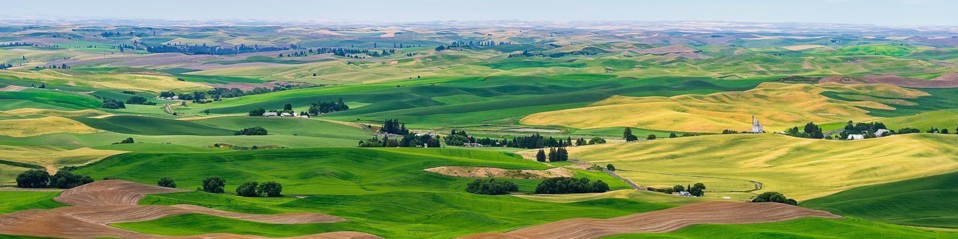 Rolling green hills, a distant farmhouse, and a clear sky.
