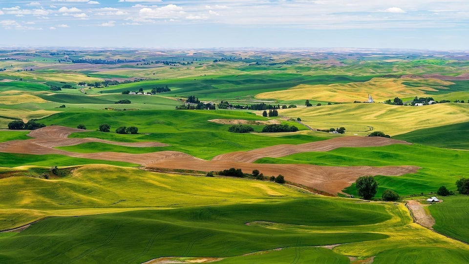 Rolling green hills, a distant farmhouse, and a clear sky.