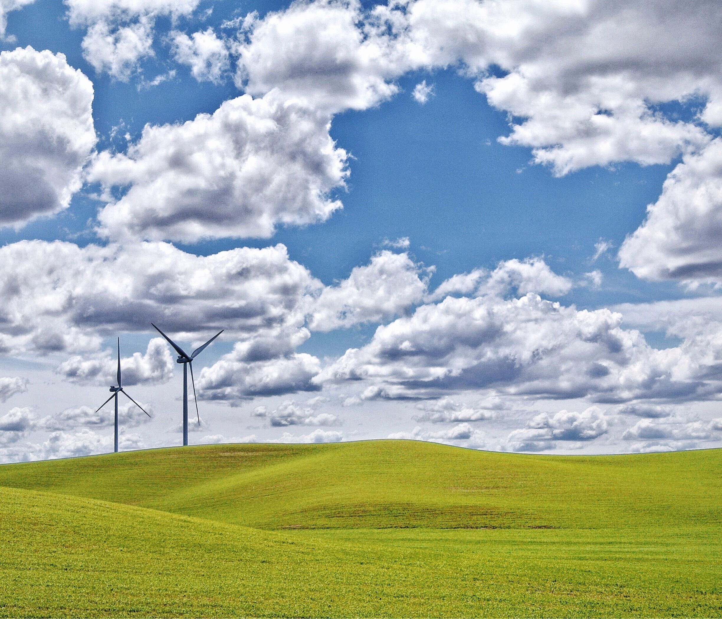Palouse Washington landscape looks like a Window XP Wallpaper  
 #adventure #travel #spring #colorful #beautifulplaces #palouse #windowxp #bliss #roadtrip #blue