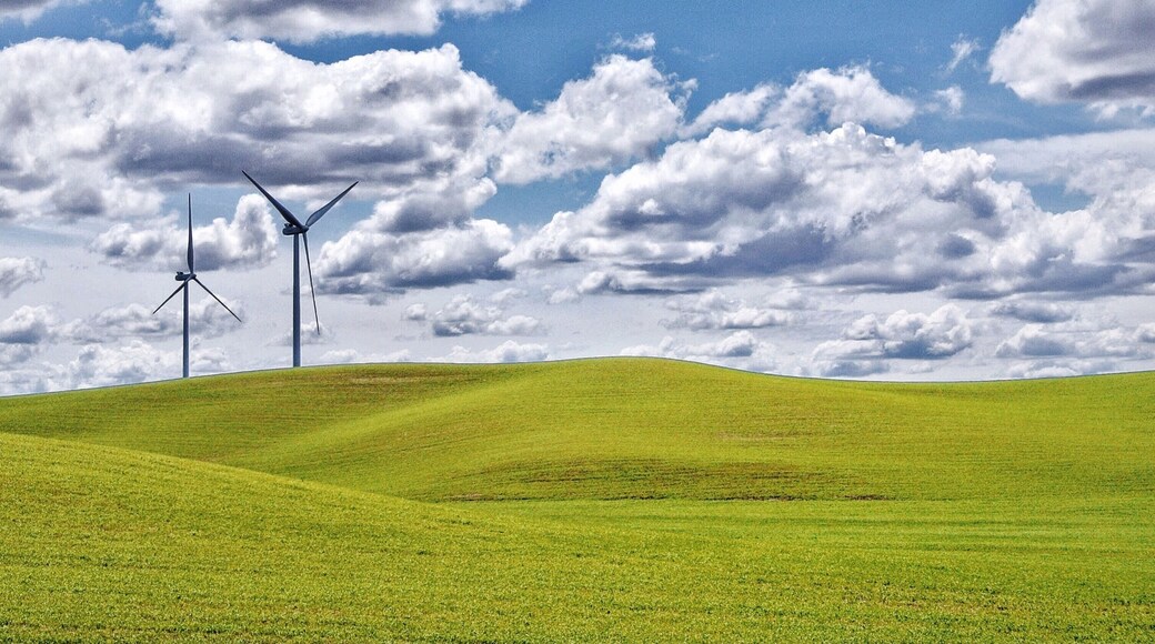 Palouse Washington landscape looks like a Window XP Wallpaper
#adventure #travel #spring #colorful #beautifulplaces #palouse #windowxp #bliss #roadtrip #blue