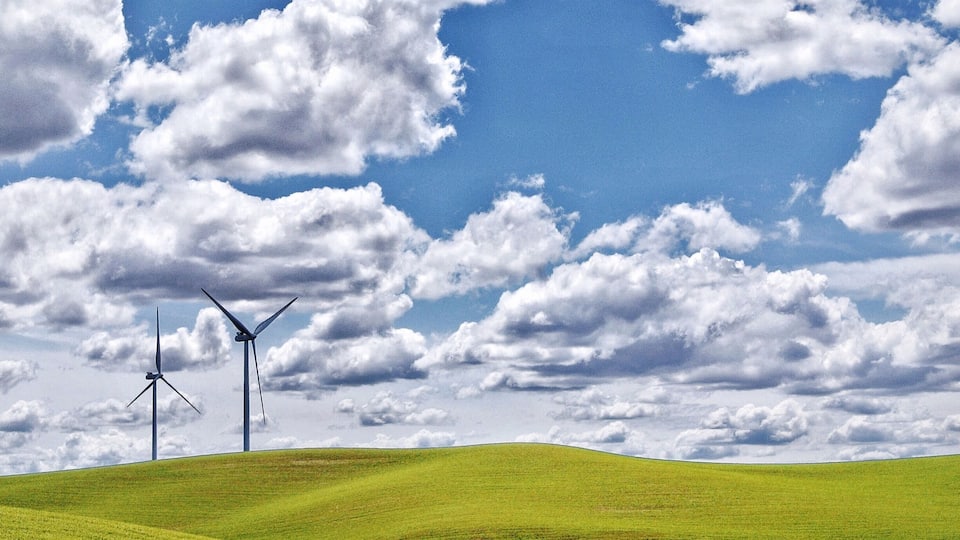 A green field with two wind turbines under a partly cloudy sky.