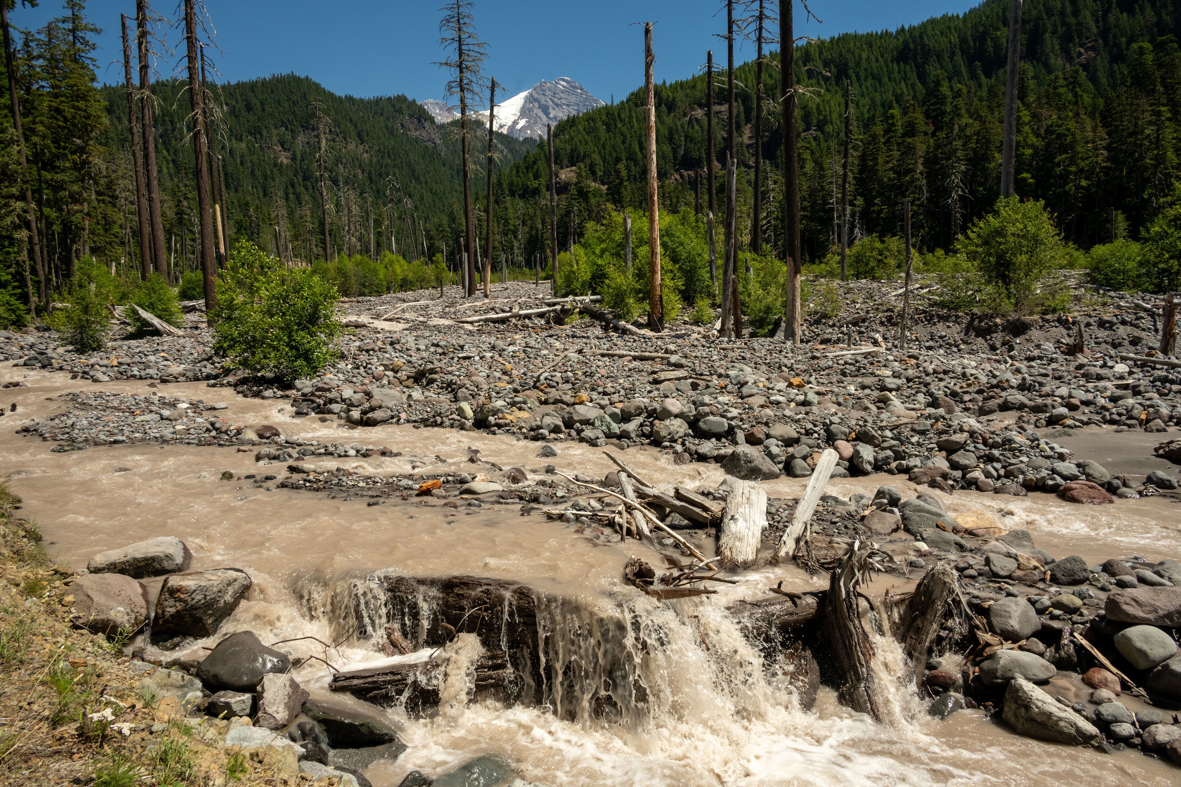 Tahoma Creek Flows Muddy Through A Rocky Flood Plain Below Mount Rainier