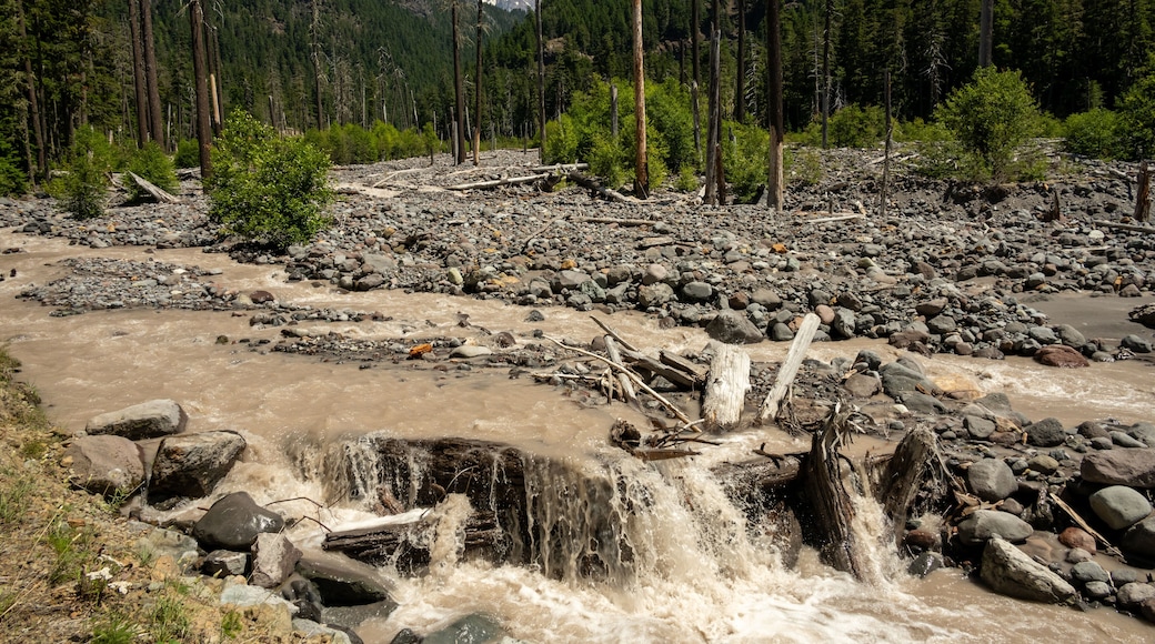 Tahoma Creek Flows Muddy Through A Rocky Flood Plain Below Mount Rainier