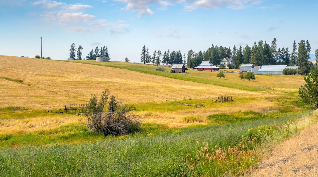A ranch farm with Victorian estate home, barns, and shops in the Palouse region near Spokane, Washington, USA.