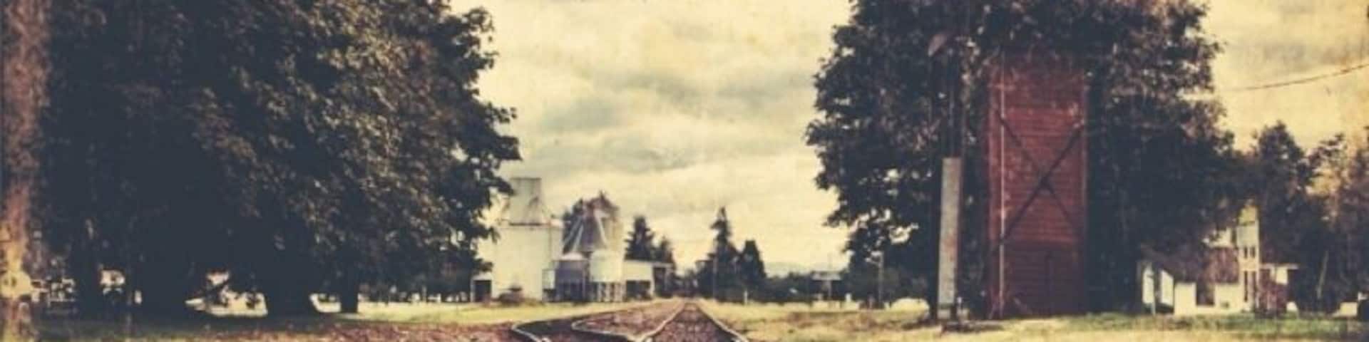 Who can't get down with some train tracks and a water tower?
