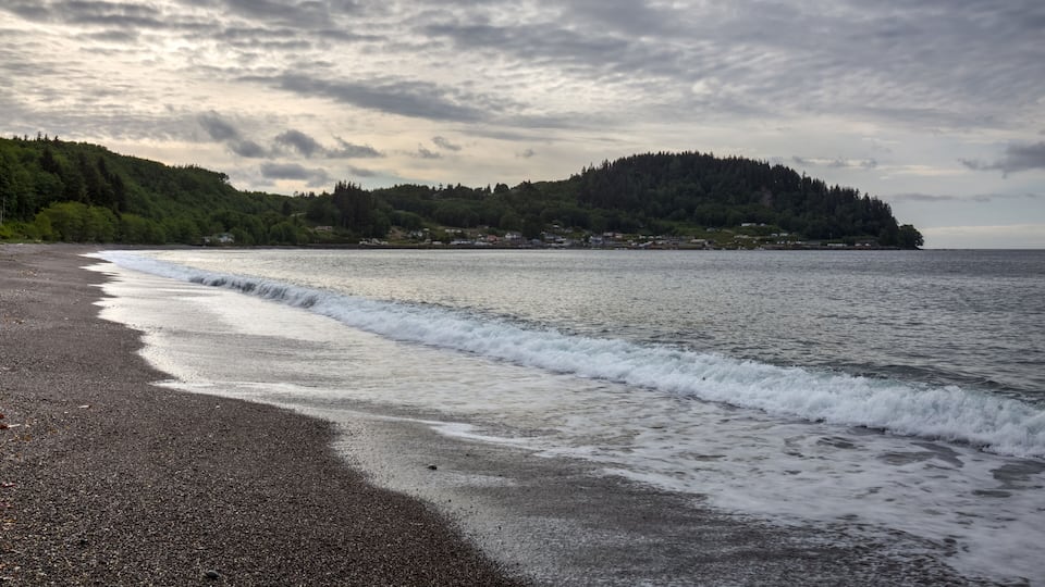 A beach with waves, a forested hill, and a cloudy sky.
