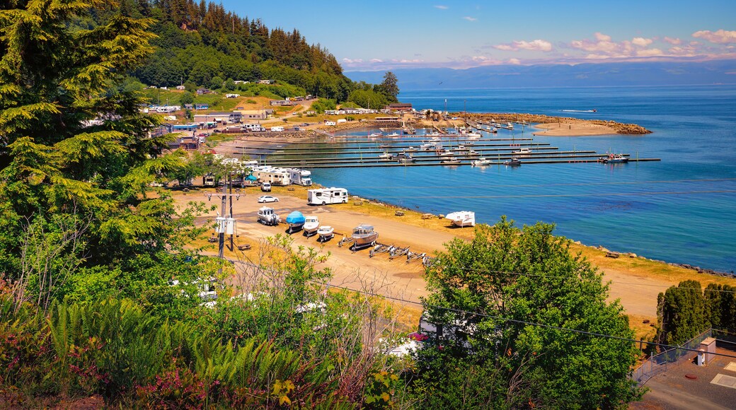 Aerial view of Sekiu Port with yachts, surrounded by by lush forests, capturing the scenic landscape of Washington State.
