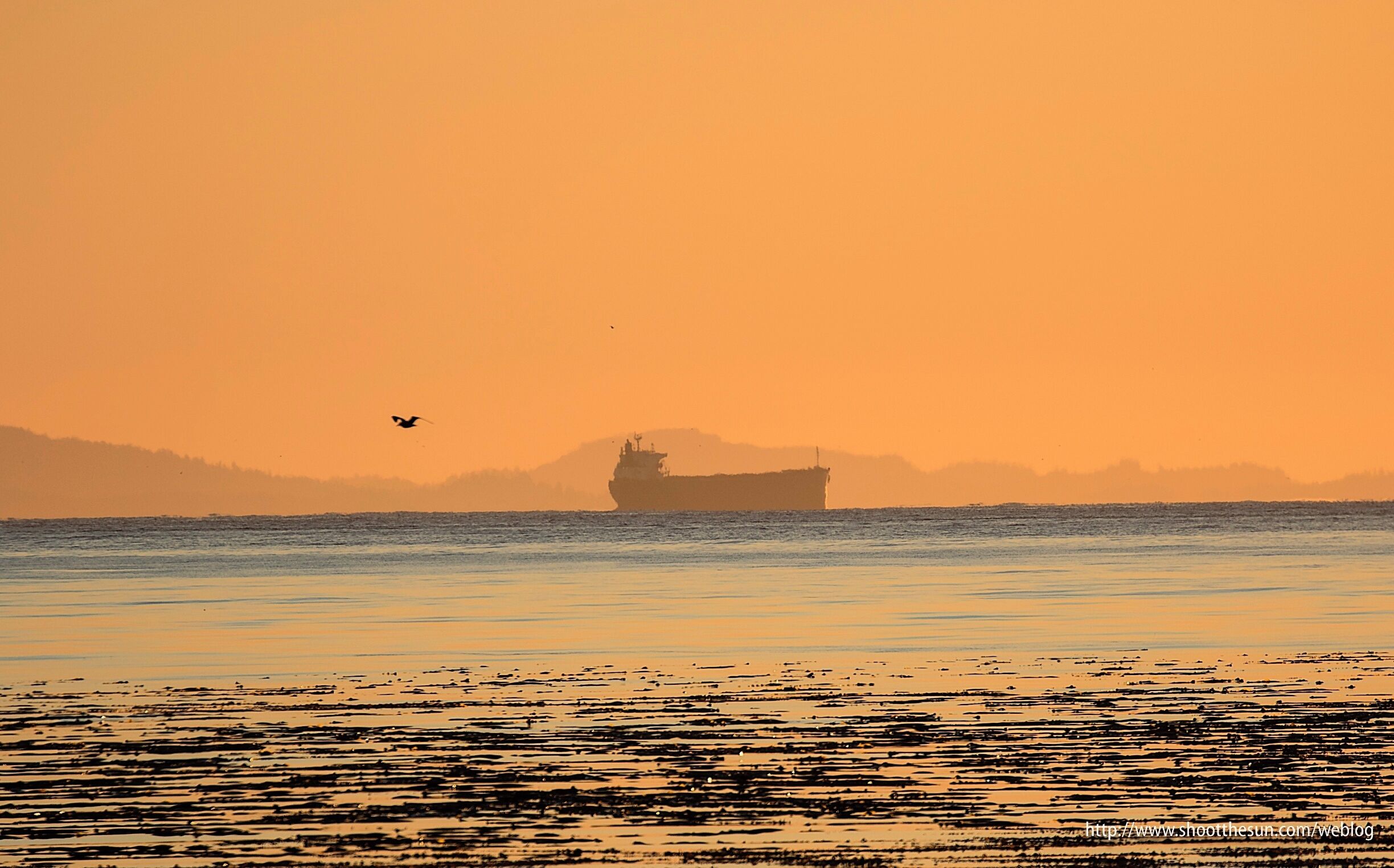 A freighter plies the waters down the Strait of Juan de Fuca.
