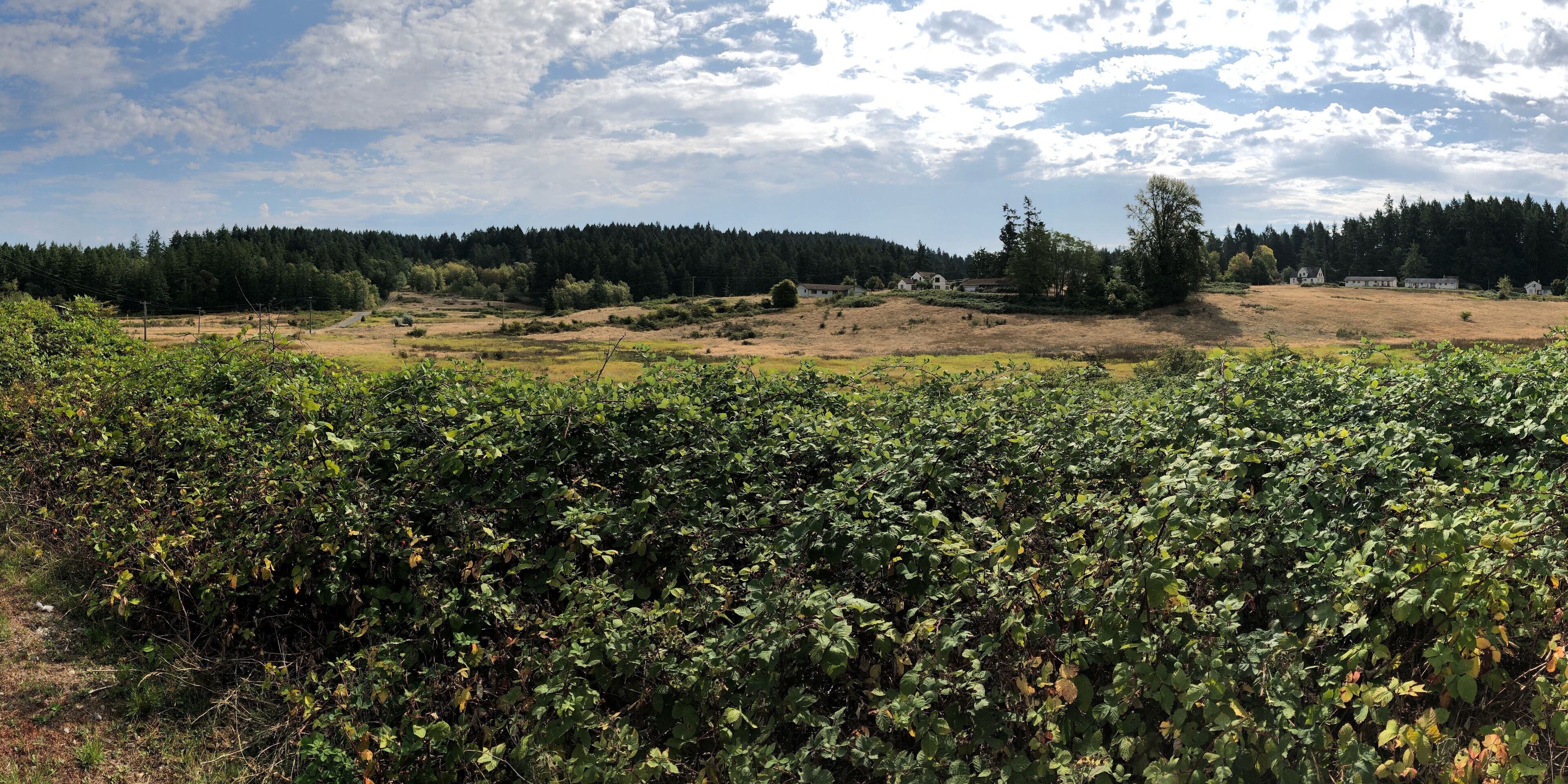 Island in Washington State that is totally uninhabited except for a correctional facility.  Totally unspoiled by developers.