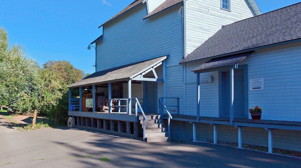 This grist mill was built in the 1880s and operated as a feed and flour mill until 1946. The area was first developed ten years earlier when James Mills dug a 2-mile (3.2km) ditch from the Yakima River to create a log pond and power his sawmill. The grist mill was powered by the same outflow, and with the arrival of the Northern Pacific Railroad in 1886 and Milwaukee Road in 1908, the mill was able to sell it's products nationwide.
In addition to the sawmill and grist mill the owners added an ice pond in 1889 to service the Northern Pacific. Between this pond, and the larger Sprague Lake, over 40,000 tons of ice could be packed into hundreds of refrigerated cars each year. Using sawdust to insulate the ice, they were able to supply the railroads all the way through to the end of summer.
Today the grist mill serves as a small museum and a reminder of human ingenuity and capitalism. The turn-of-the-century equipment inside has earned it a place on the National Register of Historic Places.