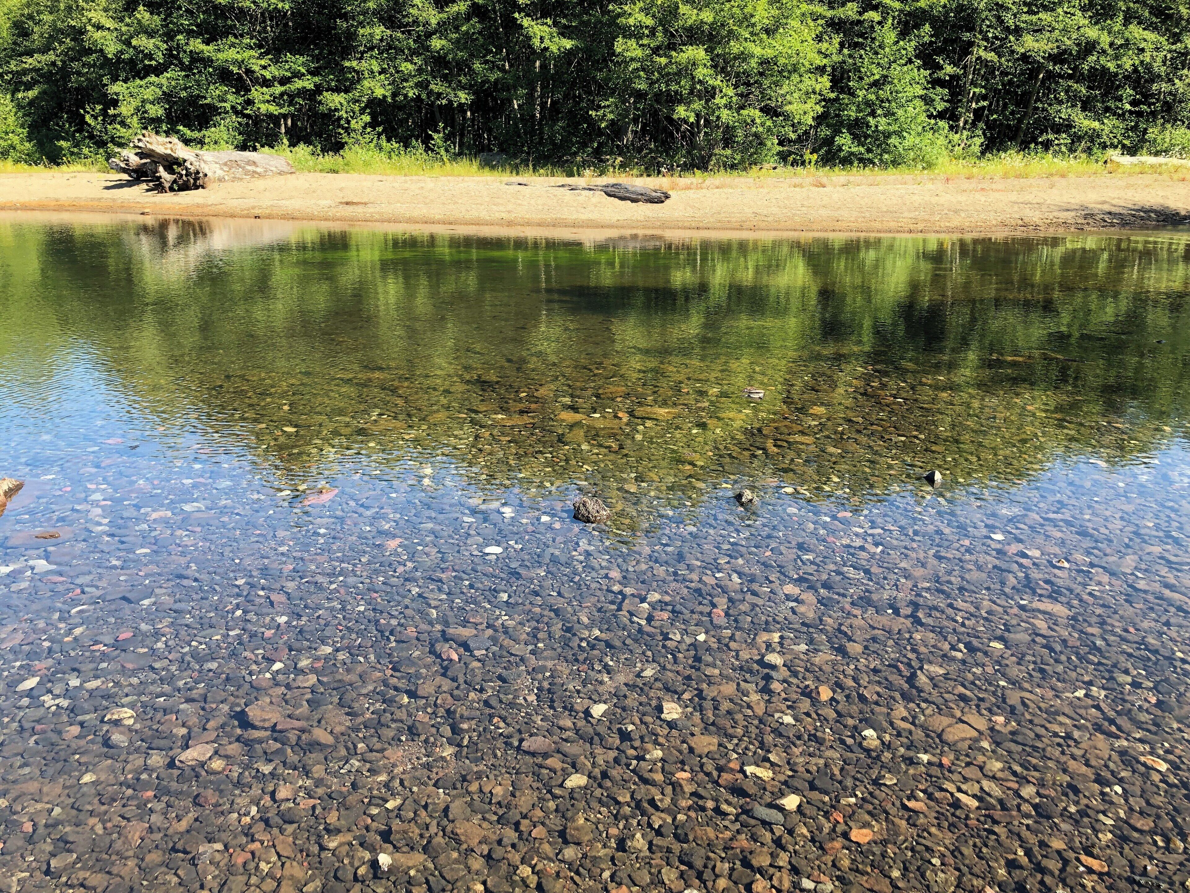 I will be back one day!!!!  Short hike off rd to Mt Saint Helens.  A PERFECT spot!!! #nature #oregon