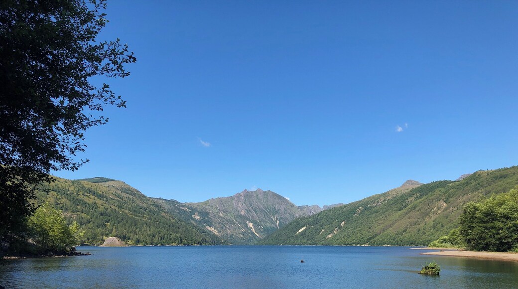 Birth of a lake trail at cold water lake! A perfect place. Easy hike. #nature #lake #oregon