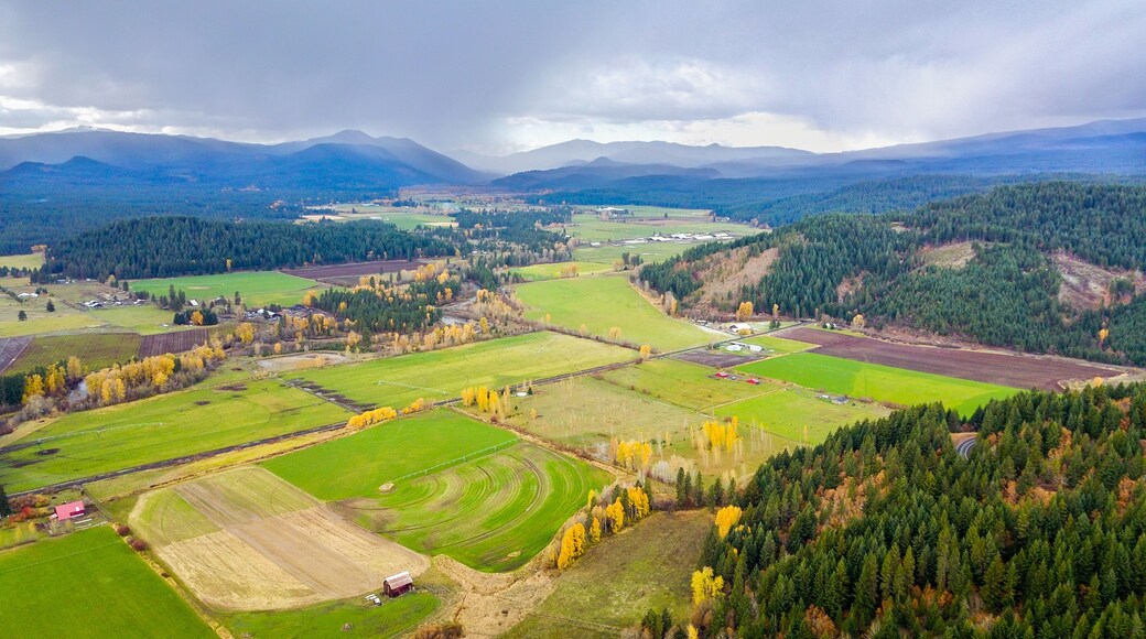 トラウト レイク