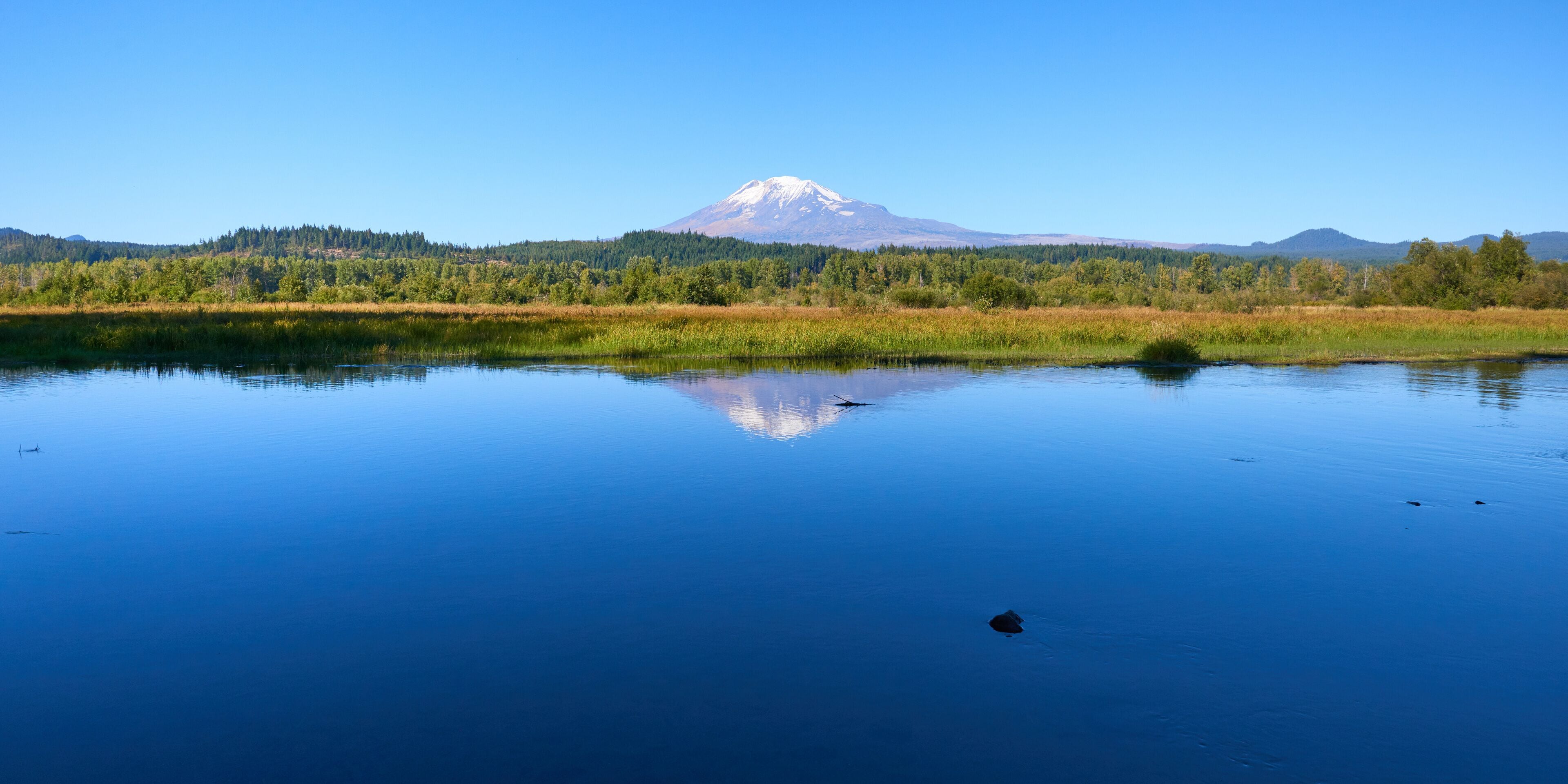Beautiful Mount Adams panoramic view and reflection in the small Trout Lake Creek during blue sky. Oregon, USA Pacific Northwest.