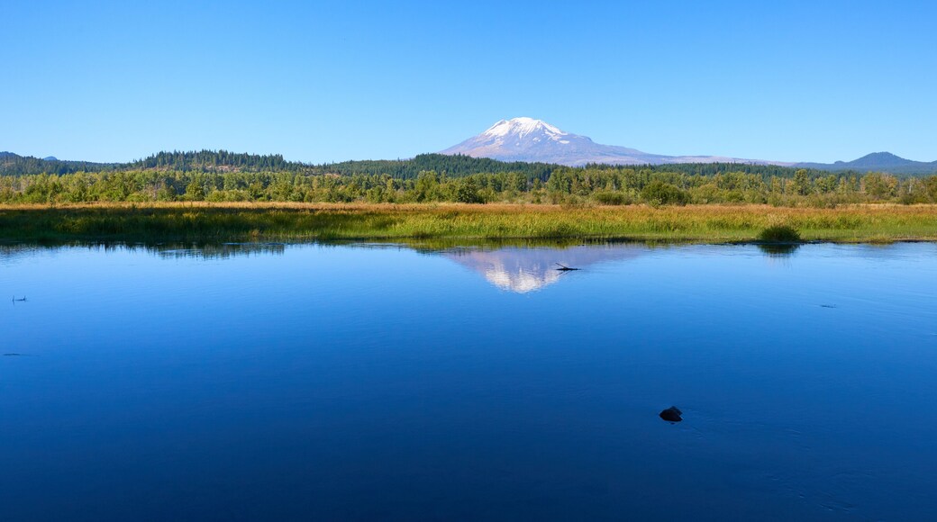 トラウト レイク