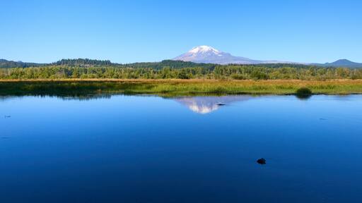 Beautiful Mount Adams panoramic view and reflection in the small Trout Lake Creek during blue sky. Oregon, USA Pacific Northwest.