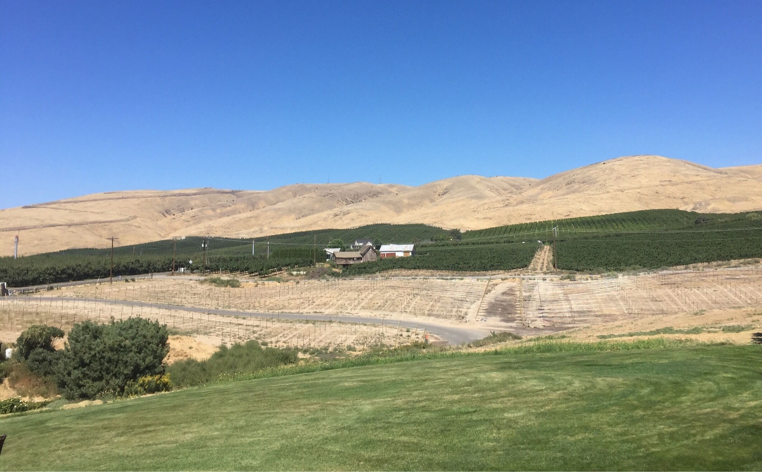 View from the winery 