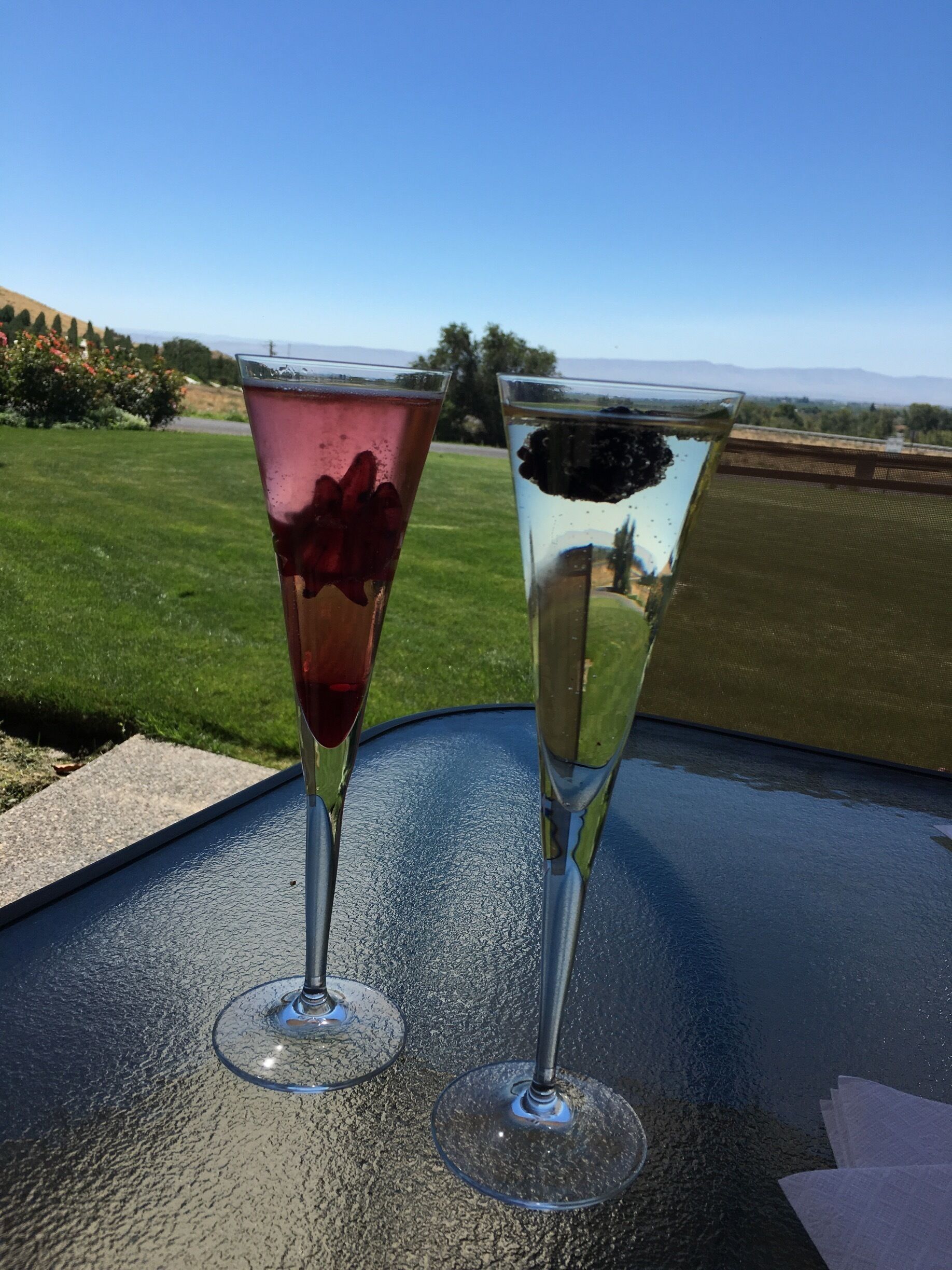 Sparkling Wine Cocktails