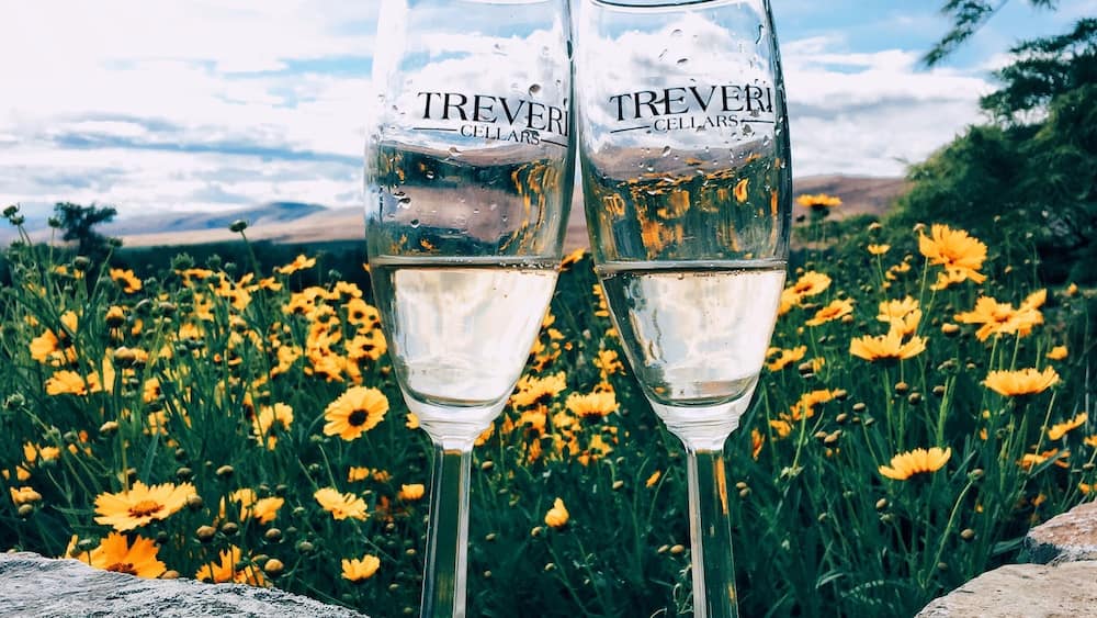 Two glasses of Treveri Cellars champagne on a stone surface with a field of yellow flowers and a cloudy sky in the background.