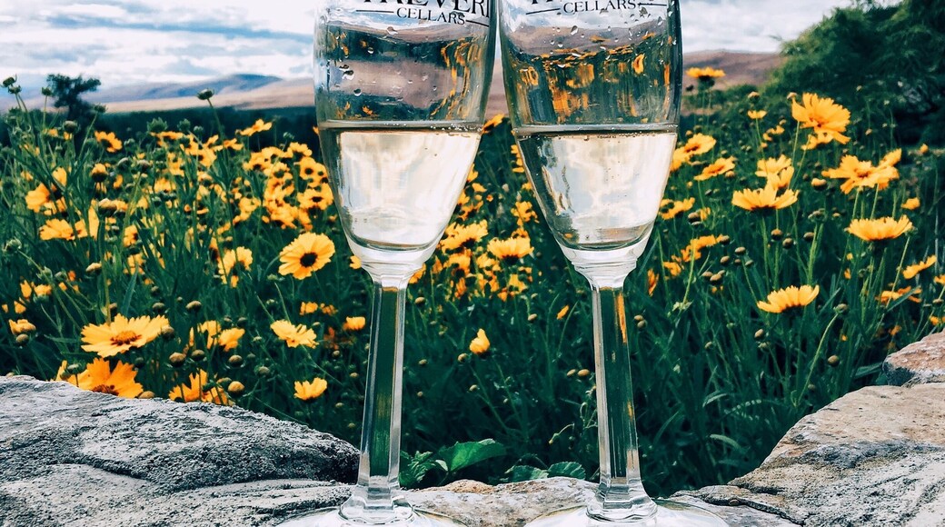 They only serve sparkling wine .. #blue #roadtrip #foodporn #colorful