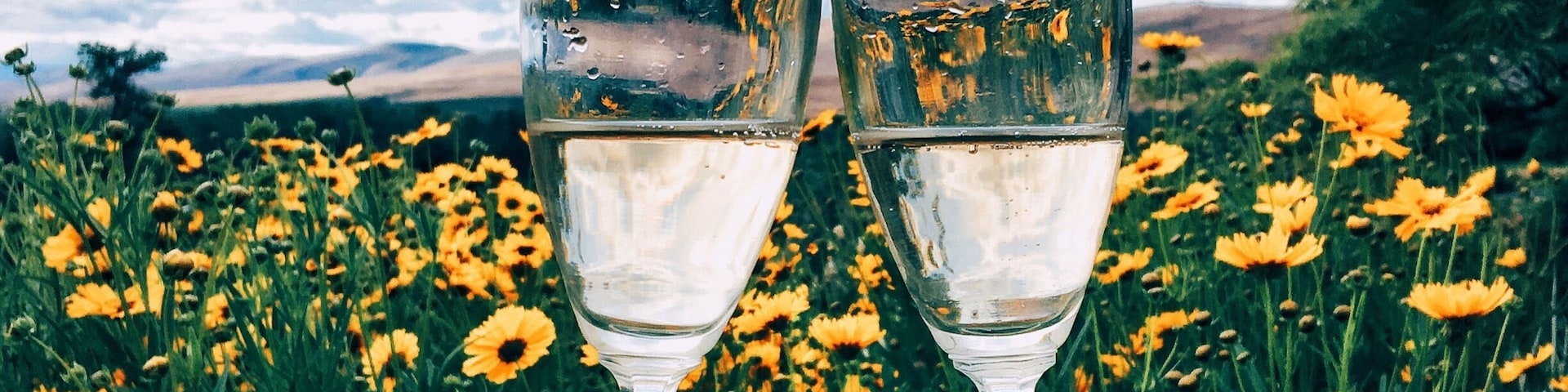 They only serve sparkling wine .. #blue #roadtrip #foodporn #colorful