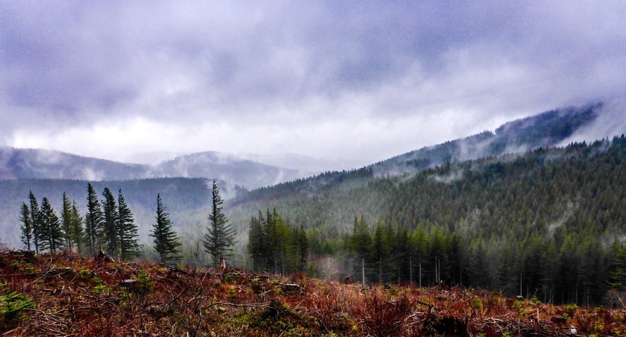 The views of the surrounding mountains are particularly dramatic on a rainy day.