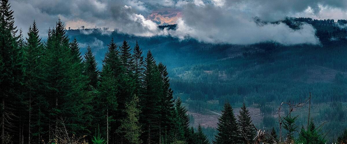 We had rain interspersed with cloud breaks today. About 2 miles back on the second 5-mile leg, the two prevailing weather systems pitched a dramatic battle in the western sky.