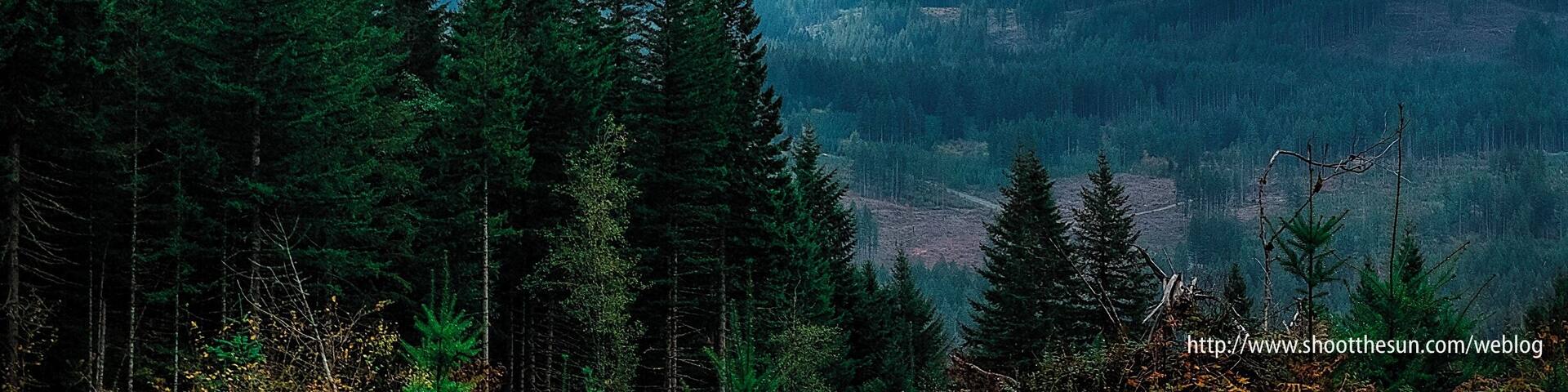 We had rain interspersed with cloud breaks today. About 2 miles back on the second 5-mile leg, the two prevailing weather systems pitched a dramatic battle in the western sky.