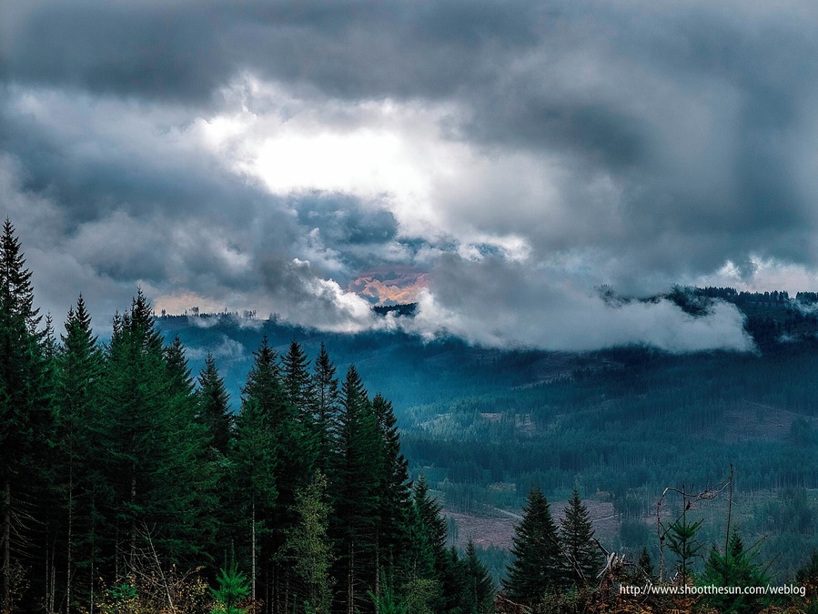 We had rain interspersed with cloud breaks today. About 2 miles back on the second 5-mile leg, the two prevailing weather systems pitched a dramatic battle in the western sky.